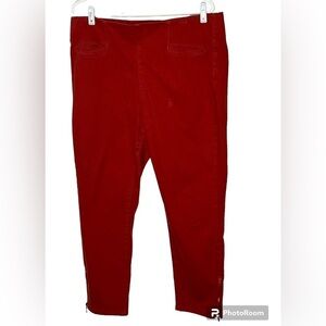 Soft Surroundings Burnt Orange Pants PL